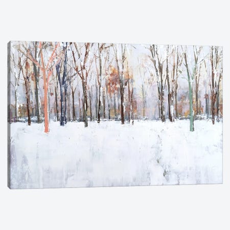 Winter In The Park II Canvas Print #EWK24} by Eduard Warkentin Canvas Print