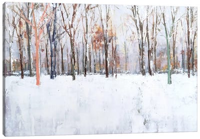 Winter In The Park II Canvas Art Print - Moody Atmospheres