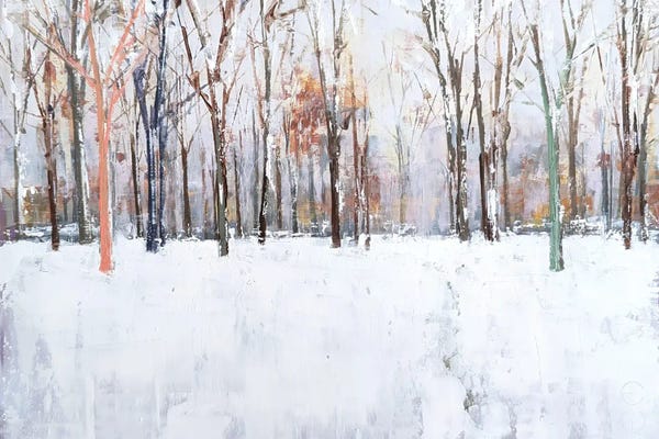 Moody Atmospheres: Winter In The Park II by Eduard Warkentin