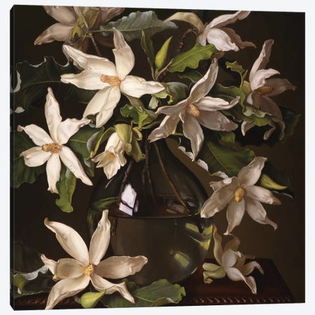Big Leaf Magnolias Canvas Print #EWL14} by Evan Wilson Canvas Print
