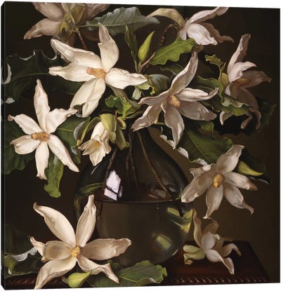 Big Leaf Magnolias Canvas Art Print - Evan Wilson
