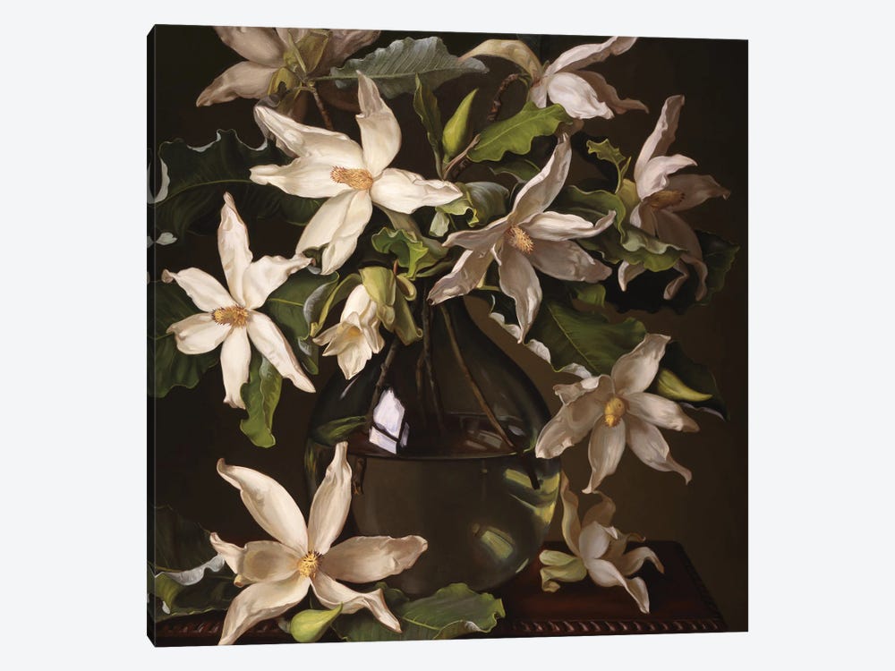 Big Leaf Magnolias by Evan Wilson 1-piece Canvas Art Print