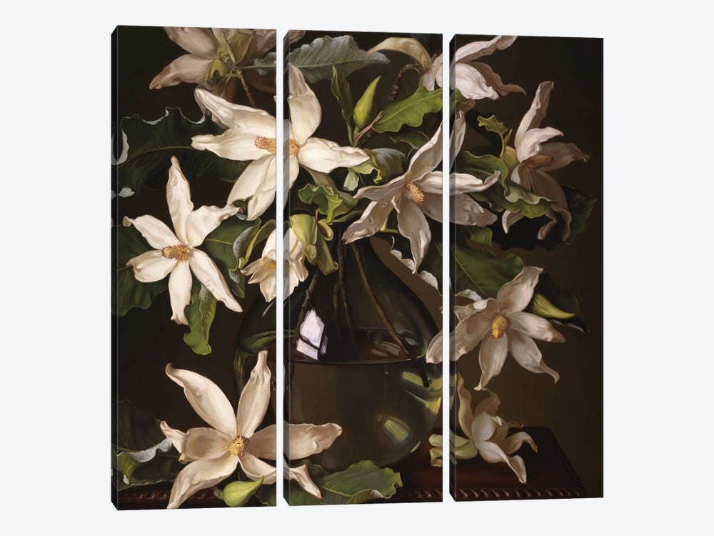 Big Leaf Magnolias by Evan Wilson 3-piece Canvas Art Print