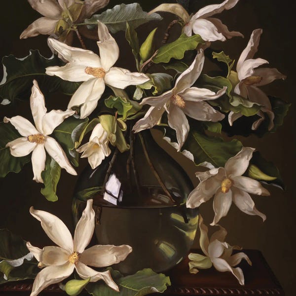 Magnolias: Big Leaf Magnolias by Evan Wilson