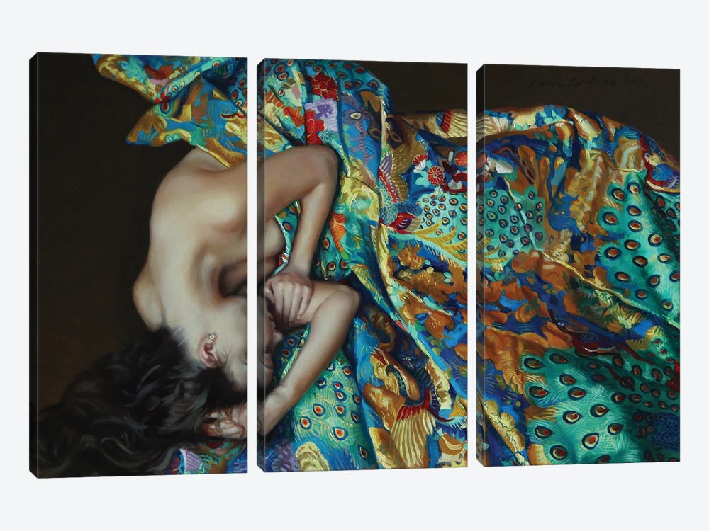 Girl In A Blue And Green Kimono by Evan Wilson 3-piece Canvas Wall Art