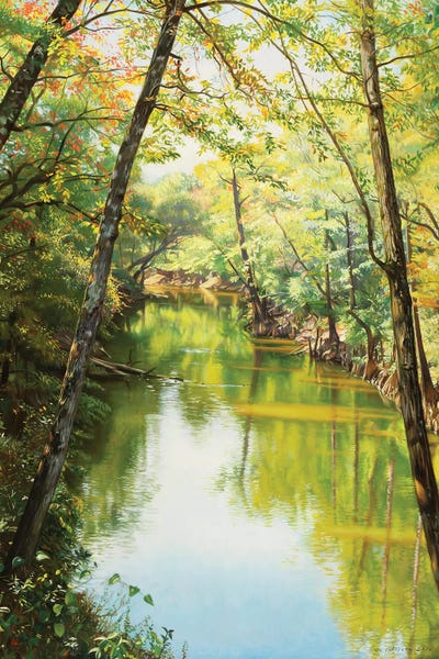 Sipsey River by Evan Wilson metal wall art