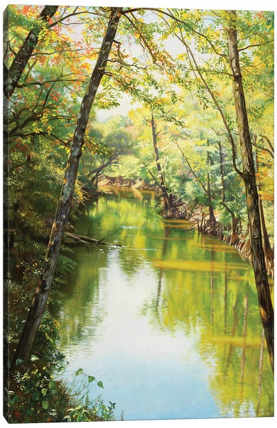 Sipsey River Canvas Art Print - Marsh & Swamp Art