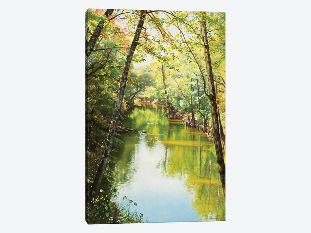Sipsey River by Evan Wilson 1-piece Canvas Art Print