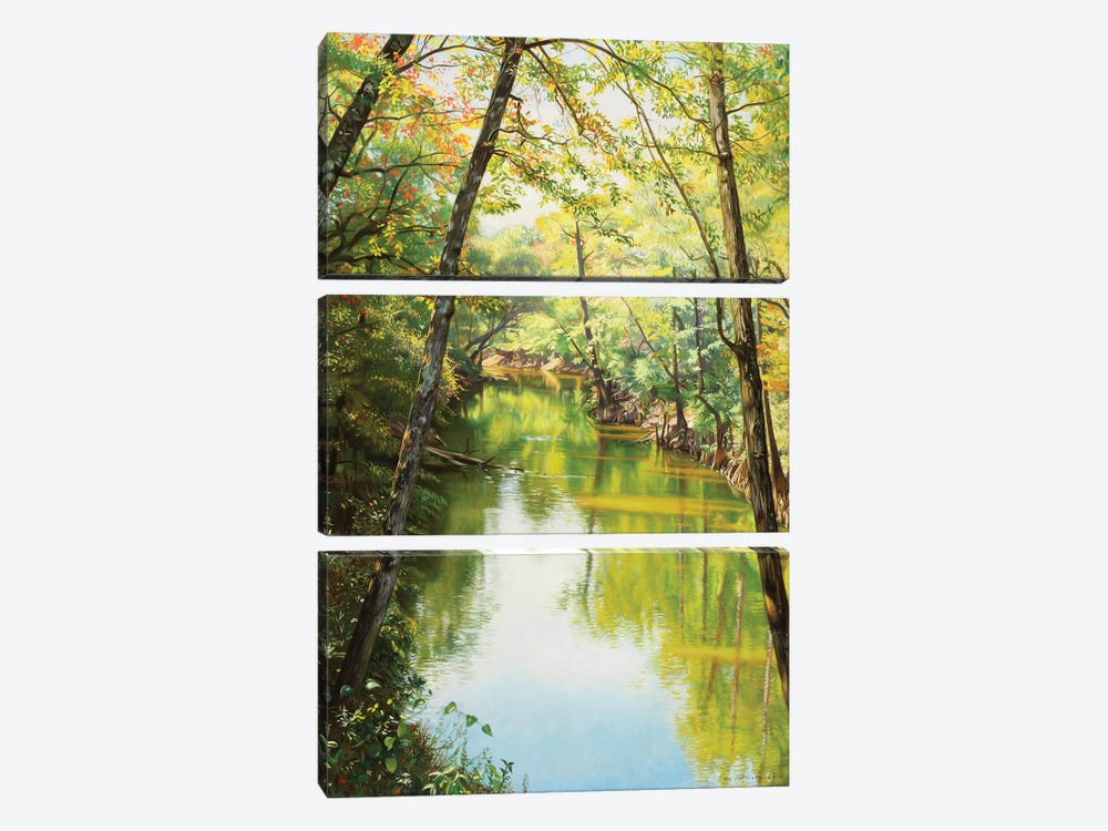 Sipsey River by Evan Wilson 3-piece Canvas Art Print