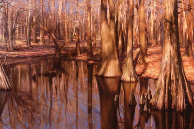 A Sipsey Slough II by Evan Wilson metal wall art