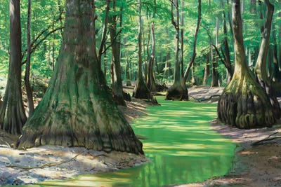 Tupelos In A Slough by Evan Wilson metal wall art