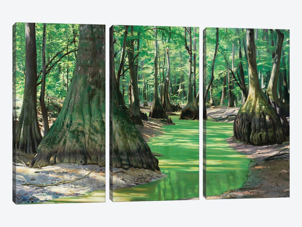 Tupelos In A Slough by Evan Wilson 3-piece Canvas Print