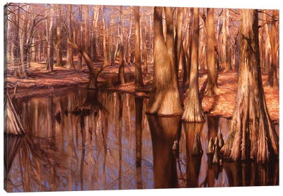 A Sipsey Slough II Canvas Art Print - Evan Wilson