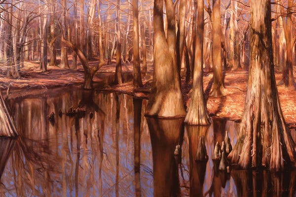 Evan Wilson: A Sipsey Slough II by Evan Wilson