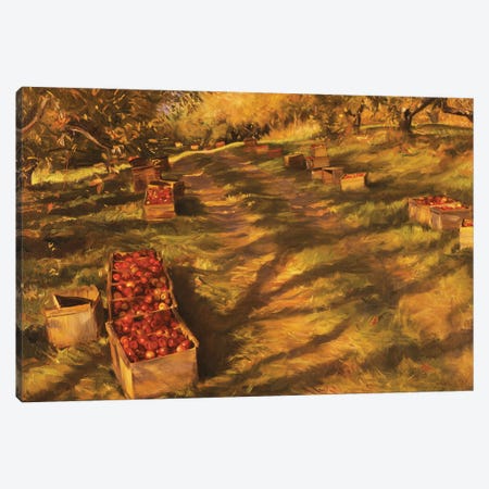 Apple Orchard Canvas Print #EWL9} by Evan Wilson Canvas Artwork