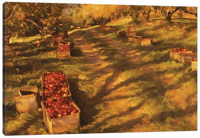 Apple Orchard Canvas Art Print - Apple Art