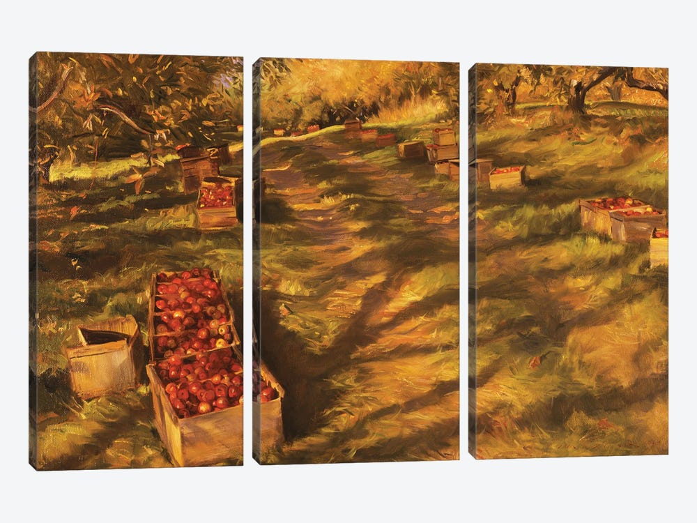 Apple Orchard by Evan Wilson 3-piece Canvas Art