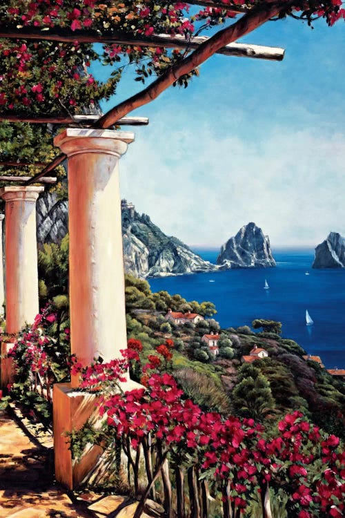 Pergola In Capri by Elizabeth Wright wall art