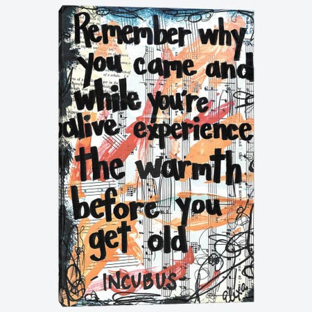 The Warmth (Remember Why You Came) - Incubus Canvas Print #EXB130} by Elexa Bancroft Canvas Artwork