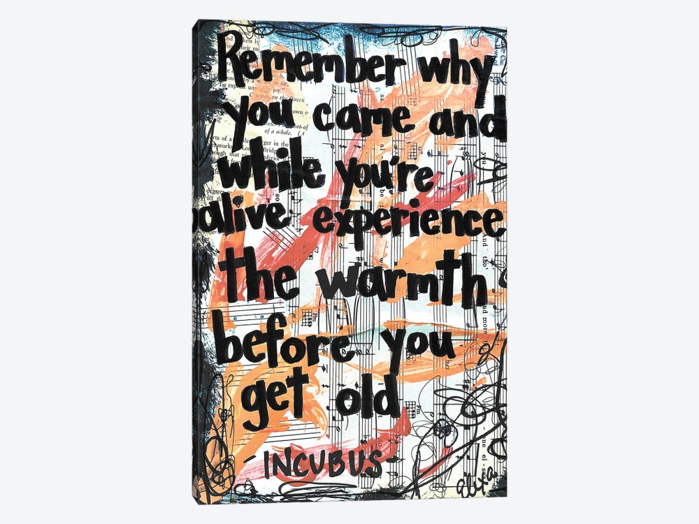 The Warmth (Remember Why You Came) - Incubus by Elexa Bancroft 1-piece Canvas Wall Art