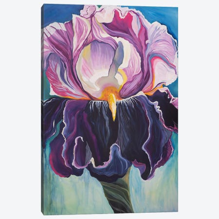 Iris, Peace And Passion Canvas Print #EYD13} by Eliry Rydall Canvas Print