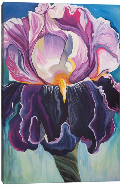 Iris, Peace And Passion Canvas Art Print - Iris Art