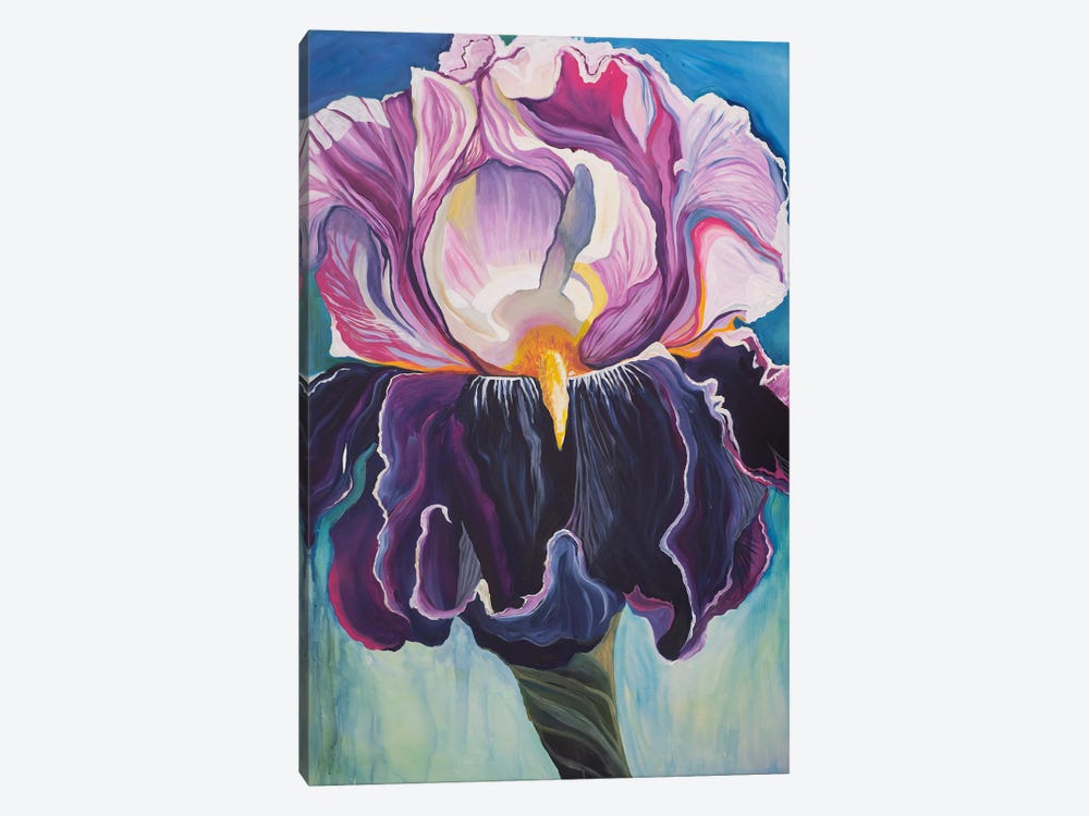 Iris, Peace And Passion by Eliry Rydall 1-piece Canvas Art