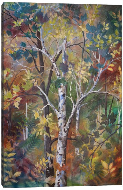 A Walk Through Photosynthesis Canvas Art Print - Aspen and Birch Trees
