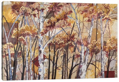 Saints And Angels Canvas Art Print - Aspen and Birch Trees