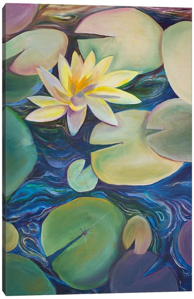 Stillness On The Current Canvas Art Print - Lily Art