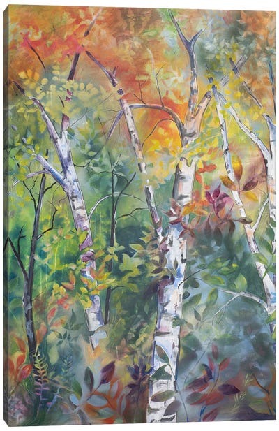Sunrise In The Woods Canvas Art Print - Aspen and Birch Trees