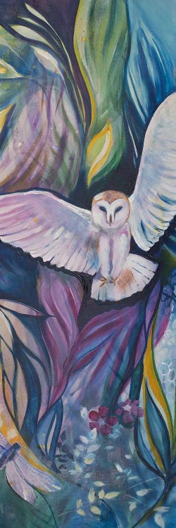 Barn Owl And Dragonfly