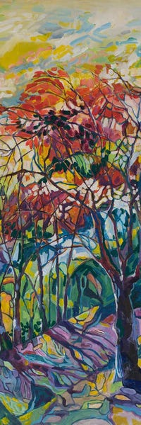 Eliry Rydall: Adventure Color by Eliry Rydall