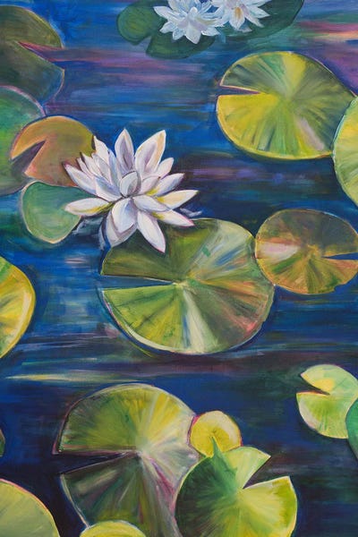 Water Lilies: Still And Vibrant by Eliry Rydall