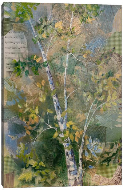 Song Of Symbiosis Canvas Art Print - Aspen and Birch Trees