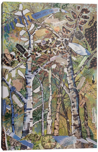 Race Reflections Canvas Art Print - Aspen and Birch Trees