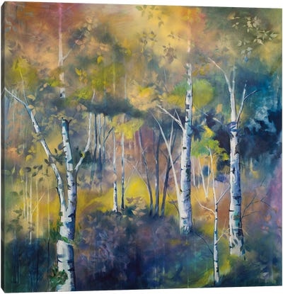 Cool Shadows At Dusk Canvas Art Print - Aspen and Birch Trees