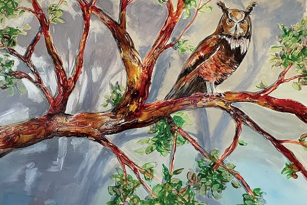 Eliry Rydall: My Forest by Eliry Rydall