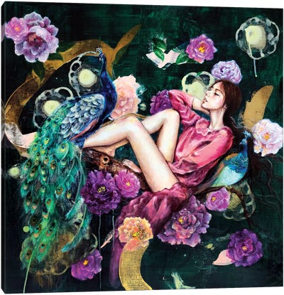 The Dreamer's Night Canvas Art Print - Eury Kim