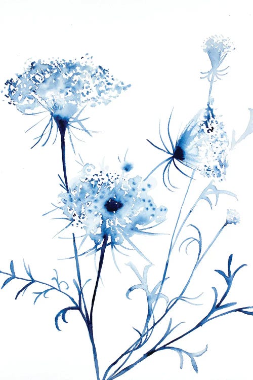 Queen Anne's Lace No. 2 by Elizabeth Becker wall art
