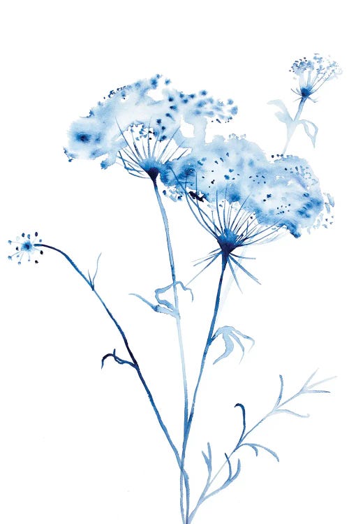 Queen Anne's Lace No. 3 by Elizabeth Becker wall art