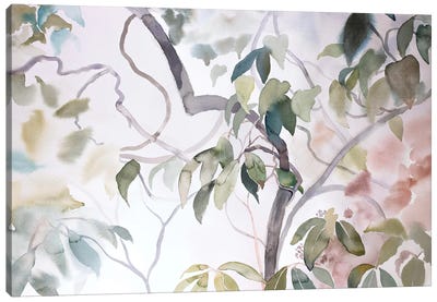 Rhododendron Study No. 10 Canvas Art Print - Minimalist Bathroom Art