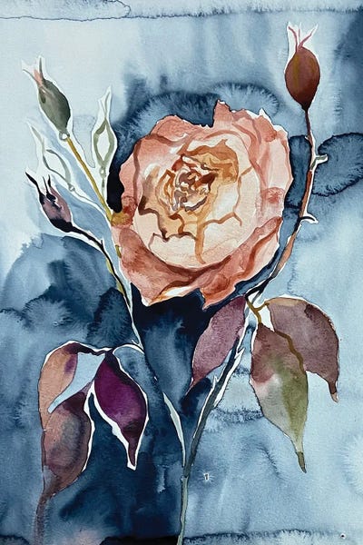 Rosa No. 6 by Elizabeth Becker framed wall art