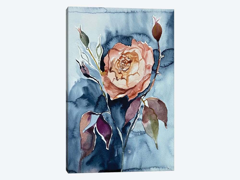 Rosa No. 6 by Elizabeth Becker 1-piece Canvas Artwork