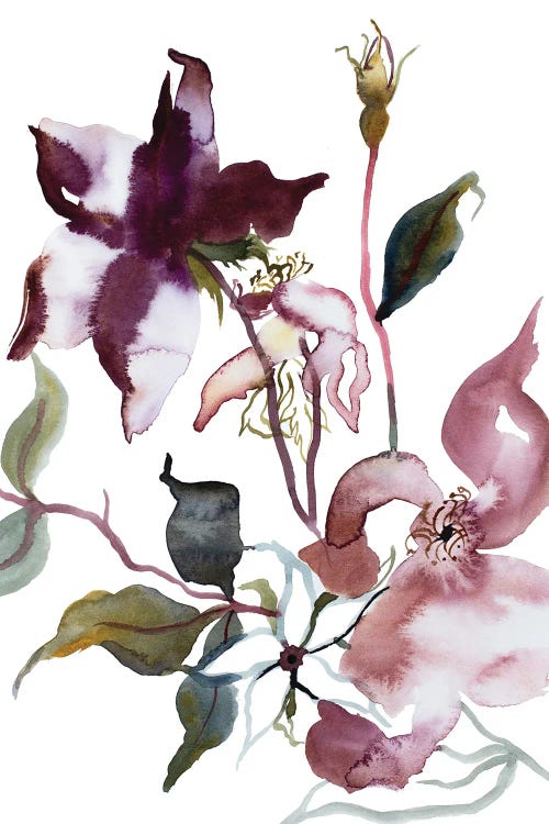 Rose Study No. 51 by Elizabeth Becker wall art