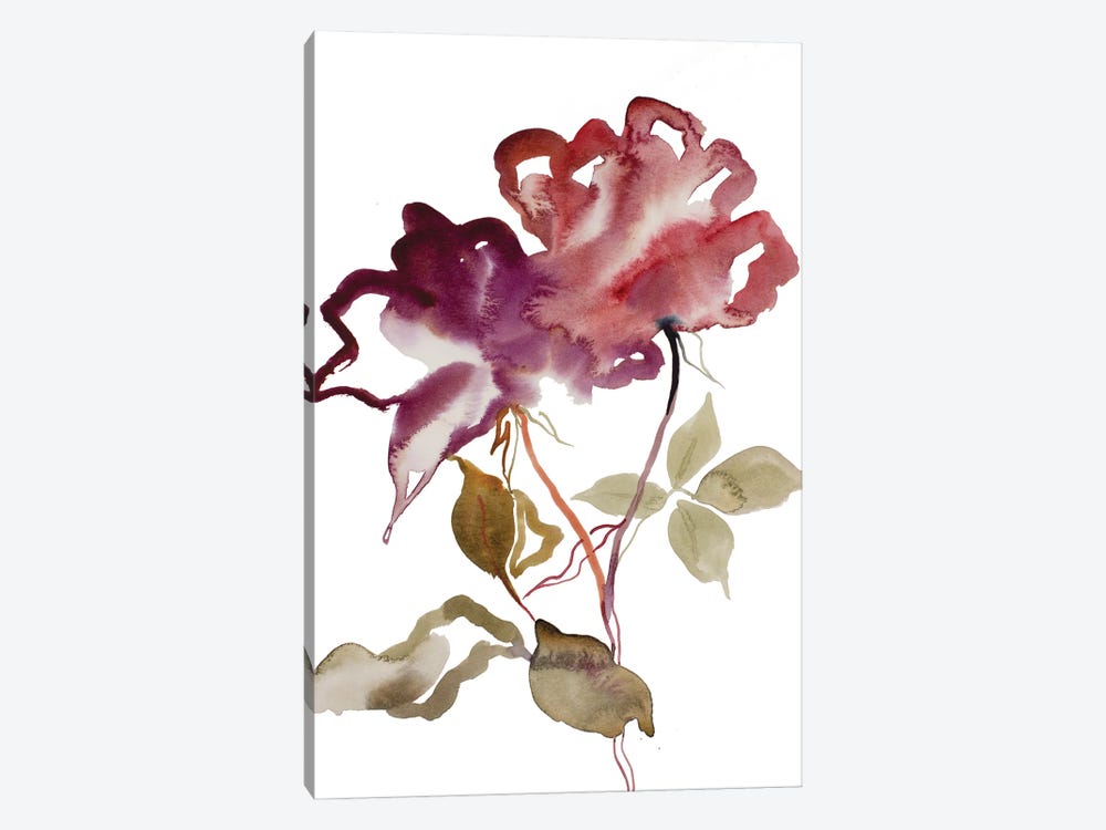Rose Study No. 52 by Elizabeth Becker 1-piece Canvas Print