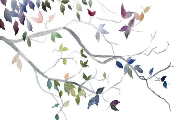 Elizabeth Becker: Branch Study No. 42 by Elizabeth Becker