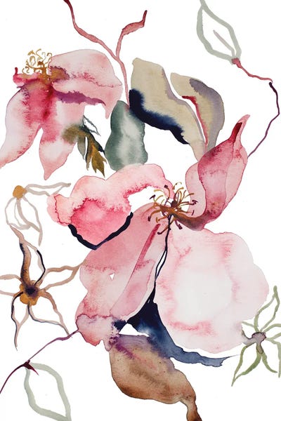 Rose Study No. 54 by Elizabeth Becker framed wall art