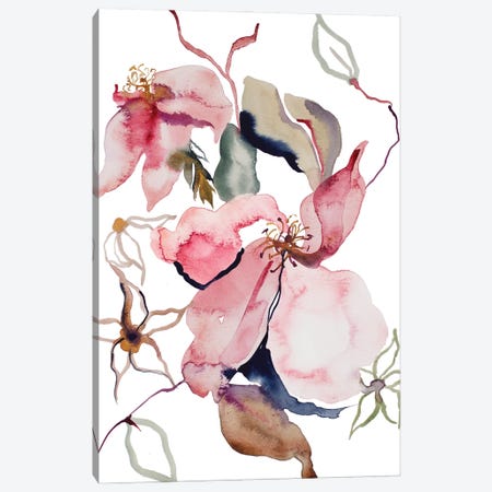 Rose Study No. 54 Canvas Print #EZB110} by Elizabeth Becker Canvas Wall Art