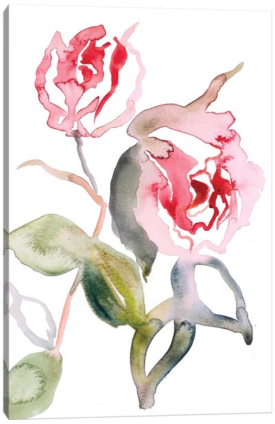 Rose Study No. 56 Canvas Art Print - Elizabeth Becker